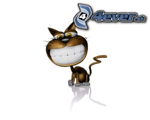 [obrazky.4ever.sk] by nicobou cat, macka, kocur 8288866.jpg