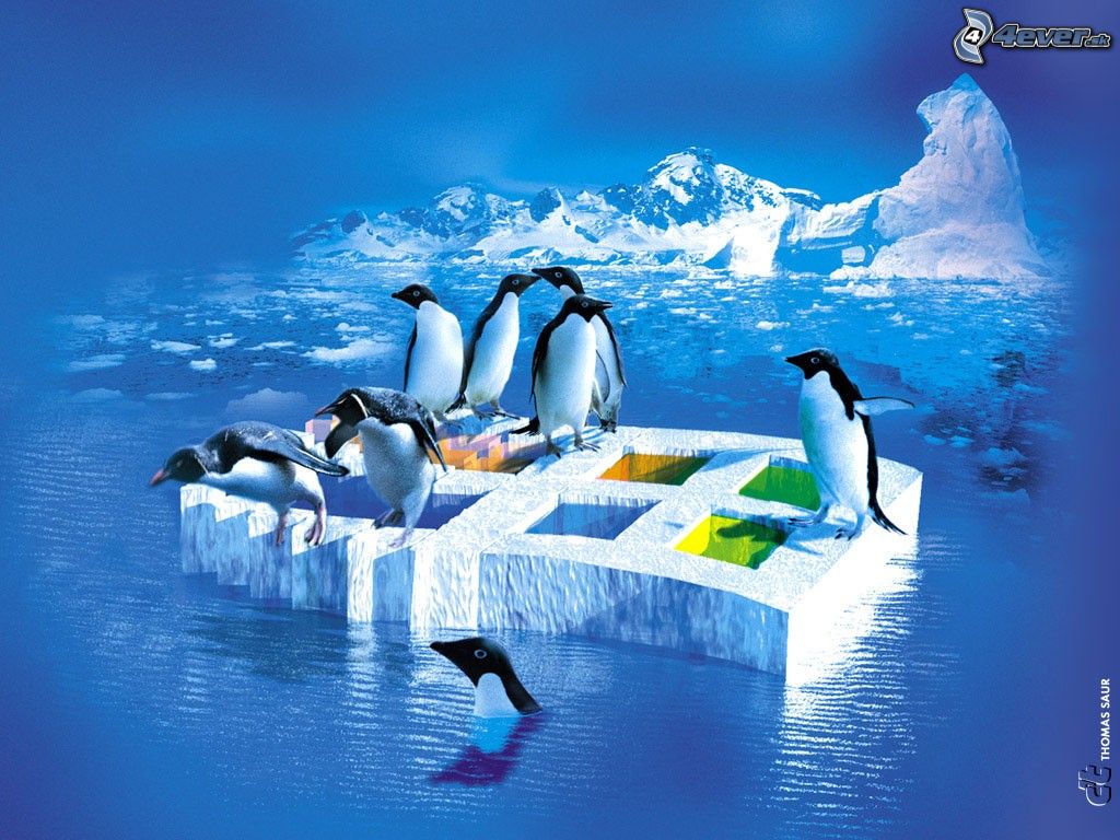 [obrazky.4ever.sk] windows 5603443.jpg