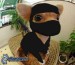 [obrazky_4ever_sk]%20kanter,%20civava,%20ninja%208997892.jpg
