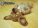 [obrazky_4ever_sk]%20pes,%20oddych%207621389.jpg